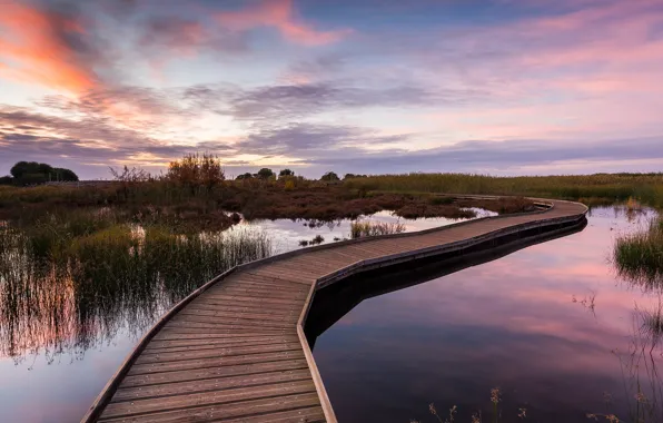 The sky, grass, water, trees, dawn, the bushes, bridges