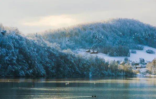 Winter, frost, forest, the sky, light, snow, mountains, birds