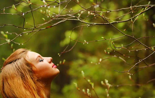 Branches, spring, the smell