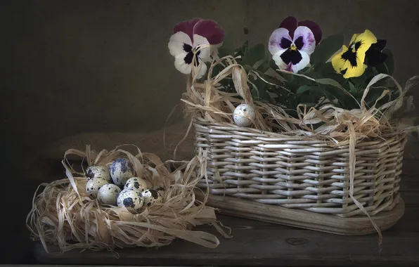Picture basket, eggs, viola