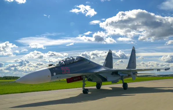 Picture fighter, Sukhoi, multipurpose, Su-30SM