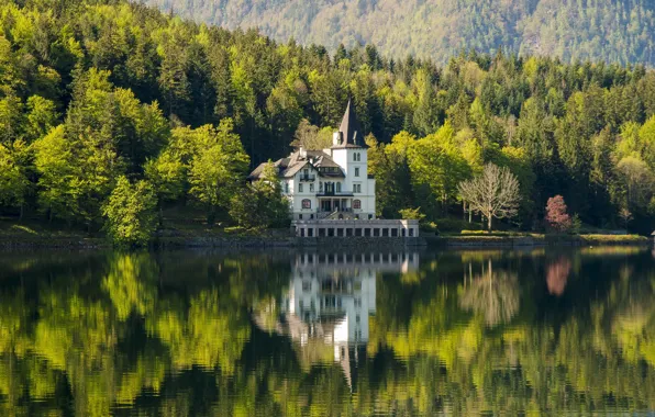 Forest, lake, reflection, castle, mansion