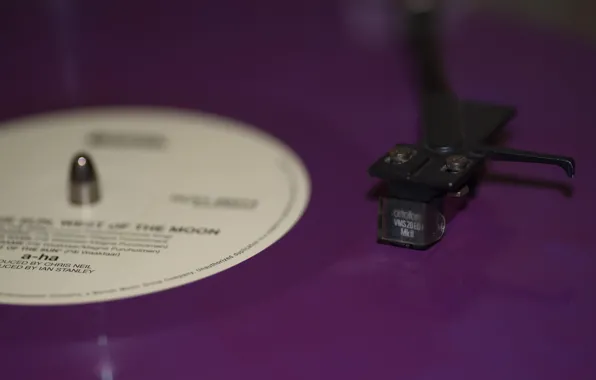 Macro, vinyl, record, needle
