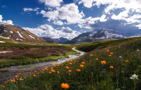 Picture the sky, clouds, flowers, mountains, blue, stream, hills, Russia