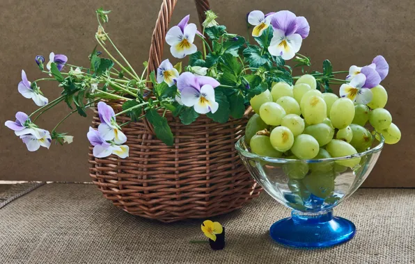 Flowers, grapes, fruit, still life, basket, viola