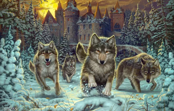 Picture figure, beauty, wolves