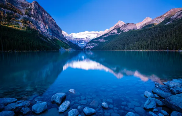 Picture trees, mountains, lake, stones, the bottom