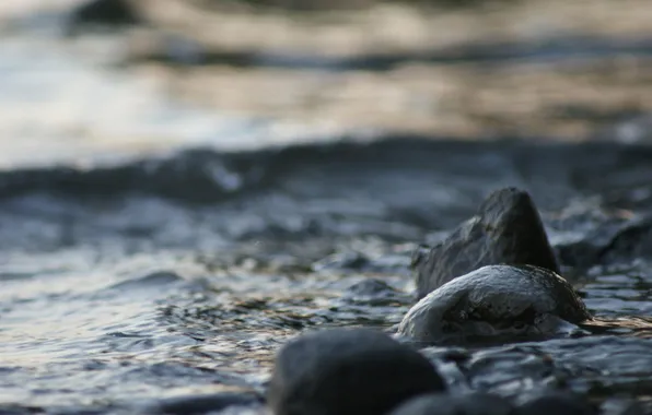 Sea, water, macro, nature, stones, the wind, shore, wave