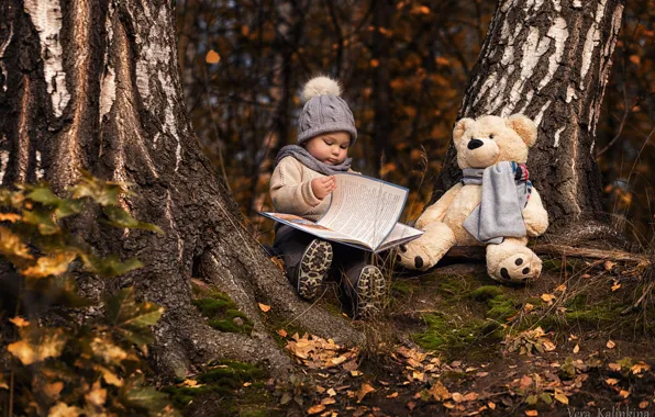 Trees, hat, toy, bear, girl, book
