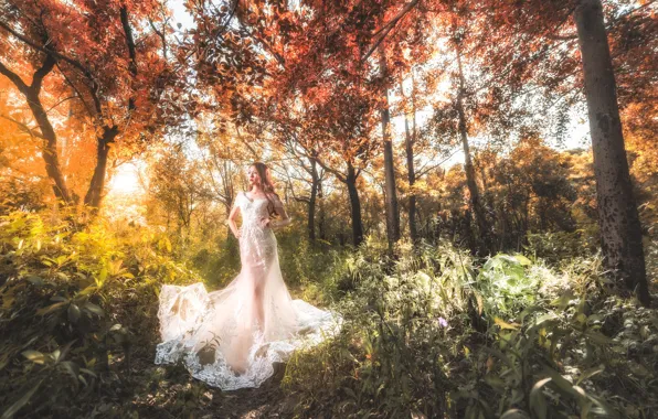 Forest, girl, style, dress, walk, Asian