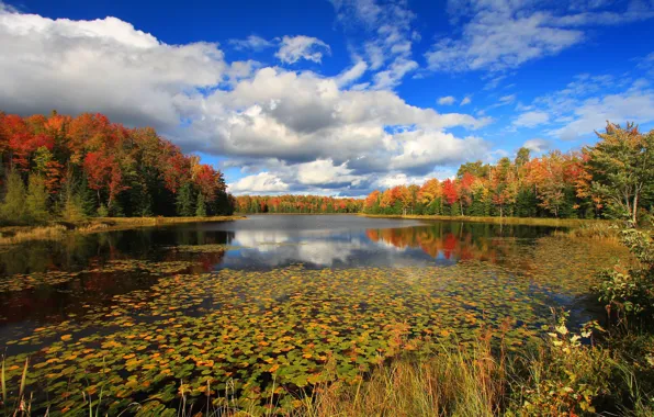Autumn, forest, clouds, lake, photo