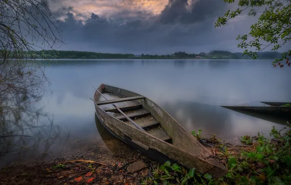 Picture river, shore, boat