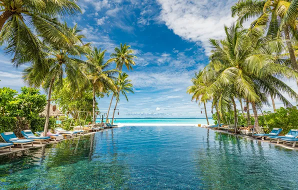 The sky, palm trees, the ocean, pool, The Maldives, The Indian ocean