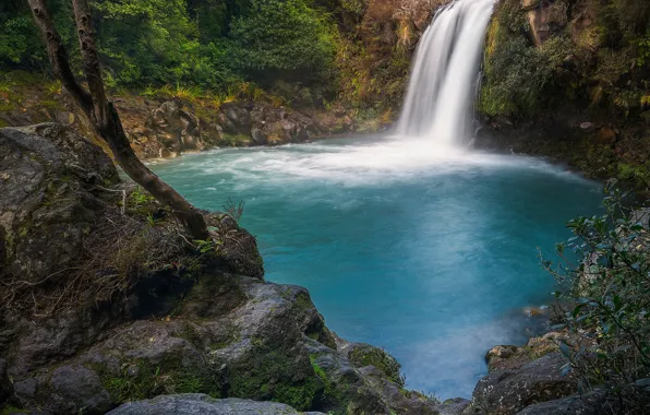 Forest, lake, stones, tree, rocks, shore, vegetation, waterfall