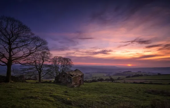Picture field, sunset, home