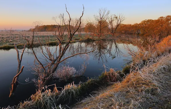Picture frost, grass, landscape, sunset, river