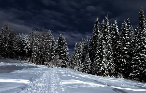 Winter, snow, landscape