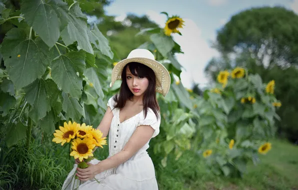Picture sunflowers, girl, look