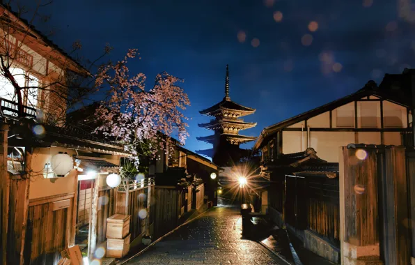 Picture night, the city, cherry, street, home, spring, Japan, Sakura