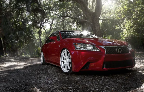 Lexus, Red, Sport, GS F, VMB8, Matte Silver, Velgen