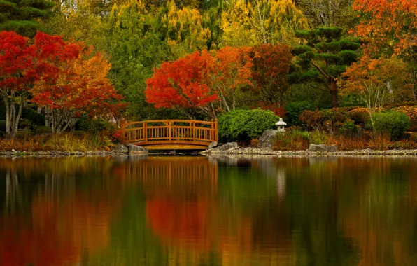 Autumn, trees, bridge, lake, pond, Oregon, Oregon, pond