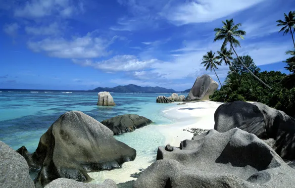 Beach, the sky, clouds, trees, stones, the ocean, Island