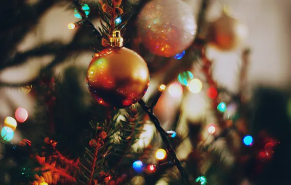 Holiday, tree, ball, decoration