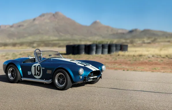 Picture Shelby, beautiful, Cobra, iconic, Shelby Cobra 289