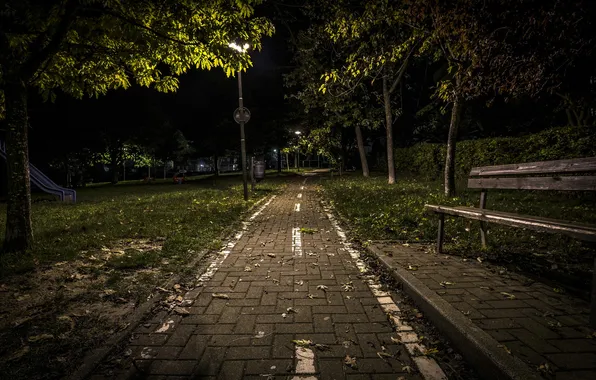 Night, the city, bench