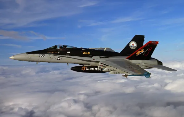 Picture flight, fighter, Super Hornet, F-18, deck