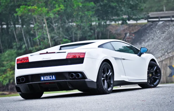 White, Lamborghini, rear view, Lamborghini, Gallardo, Gallardo LP550-2, &ampquot;MLE&ampquot;