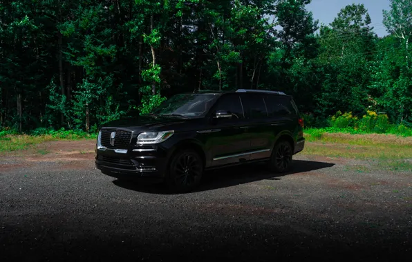 Picture Lincoln, USA, Green, Black, SUV, Forest, Navigator