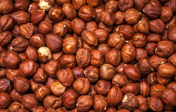Background, nuts, hazelnuts, nuts, protein