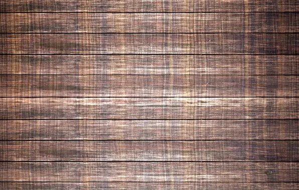 Picture texture, finish, under the tree