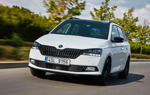 Road, nature, speed, Hatchback, Skoda, Fabia