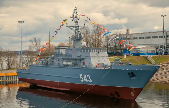 Minesweeper, launching, Peter Ilyichev
