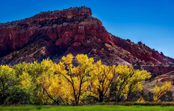 Picture the sky, grass, the sun, trees, mountains, yellow, stones, USA
