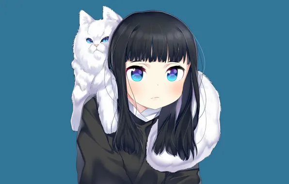 Cat, cat, anime, art, girl, blue background