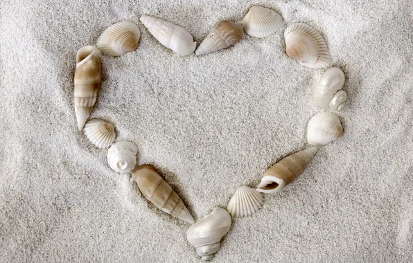Picture BACKGROUND, SAND, HEART, SHELL, SUMMER