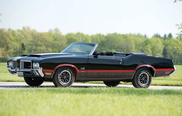 Machine, 1971, Convertible, Oldsmobile, the Oldsmobile, muscle the Kaare, 442 W-30