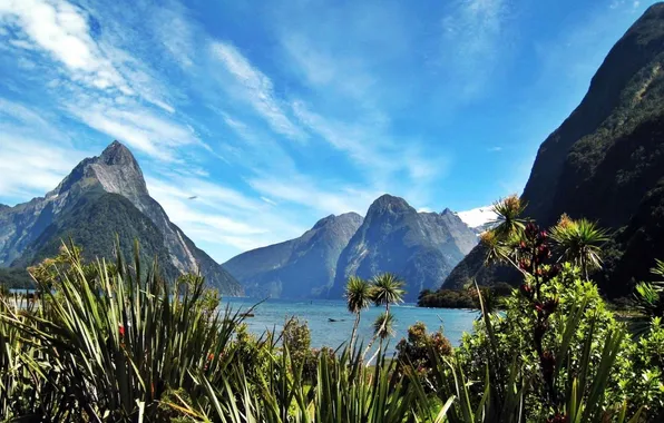 The sky, flowers, nature, lake, photo, field, Milford Sound