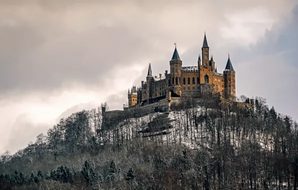 Picture nature, Germany, Castle Hohenzollern