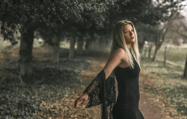 Picture girl, nature, face, background, dress, blonde