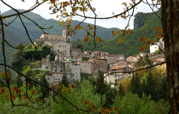 Picture forest, trees, mountains, home, slope, Italy, town