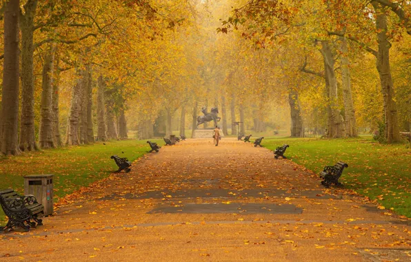 Autumn, Park, woman, benches, coat, benches