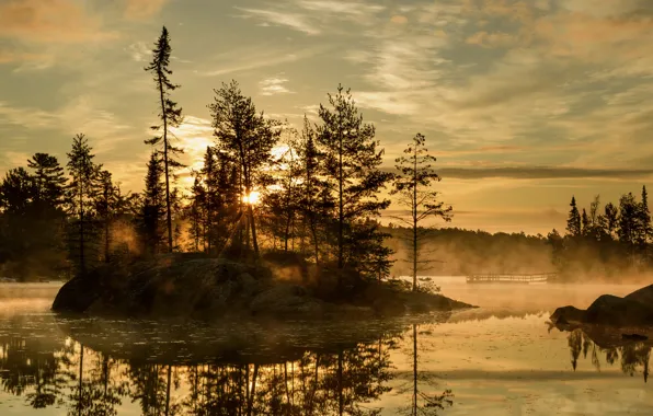 Picture autumn, fog, lake, morning