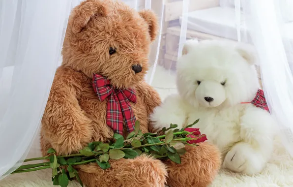 Toy, roses, bear, bear, romantic, teddy, roses