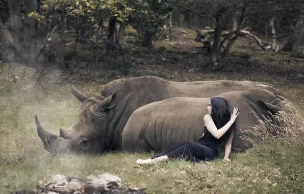 Girl, the situation, rhinos