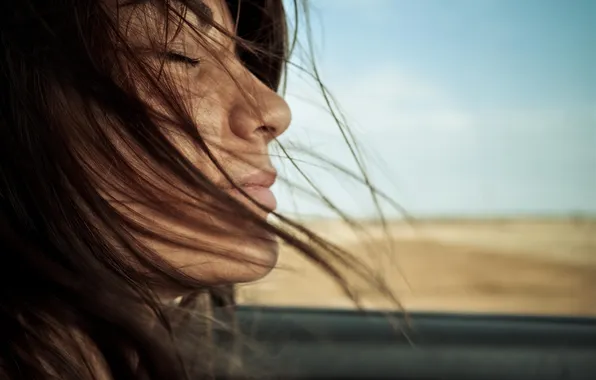 Picture HAIR, BROWN hair, PROFILE, FACE