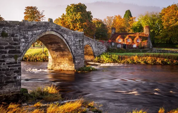Picture autumn, forest, bridge, nature, river, home